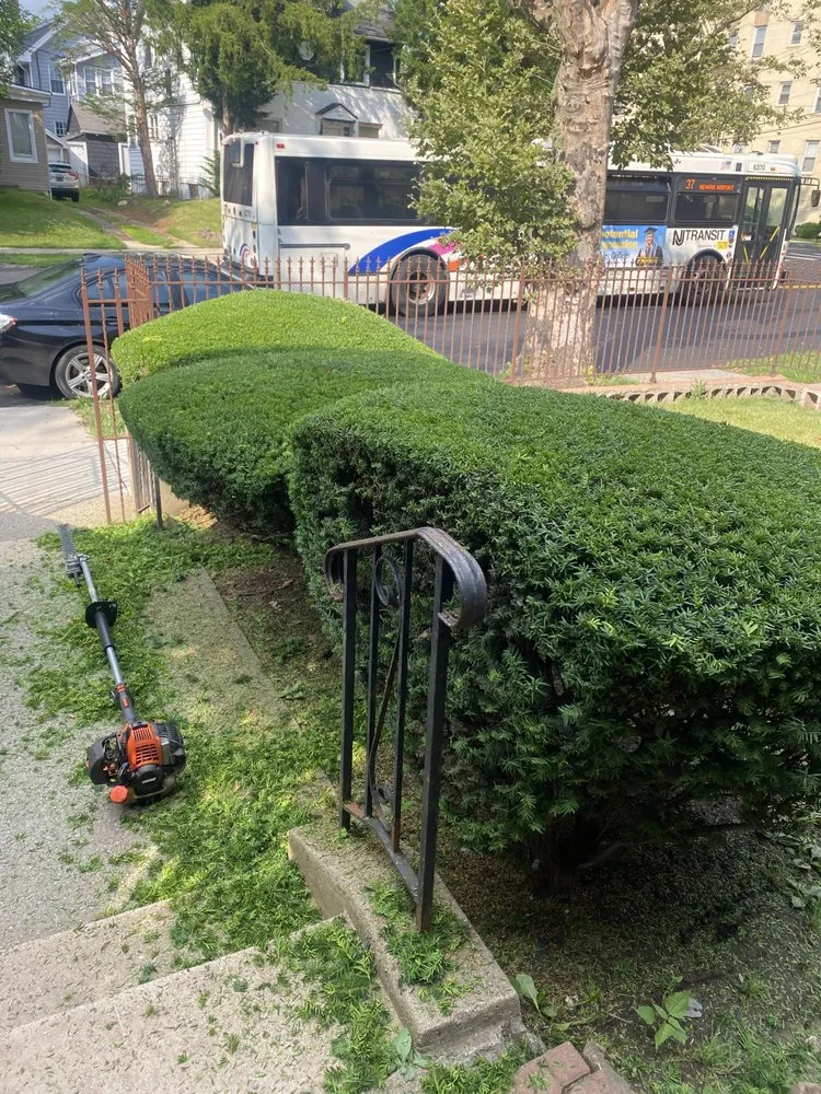 Reliable landscape installation for homes in IND HILLSIDE, NJ by C&A Penafiel