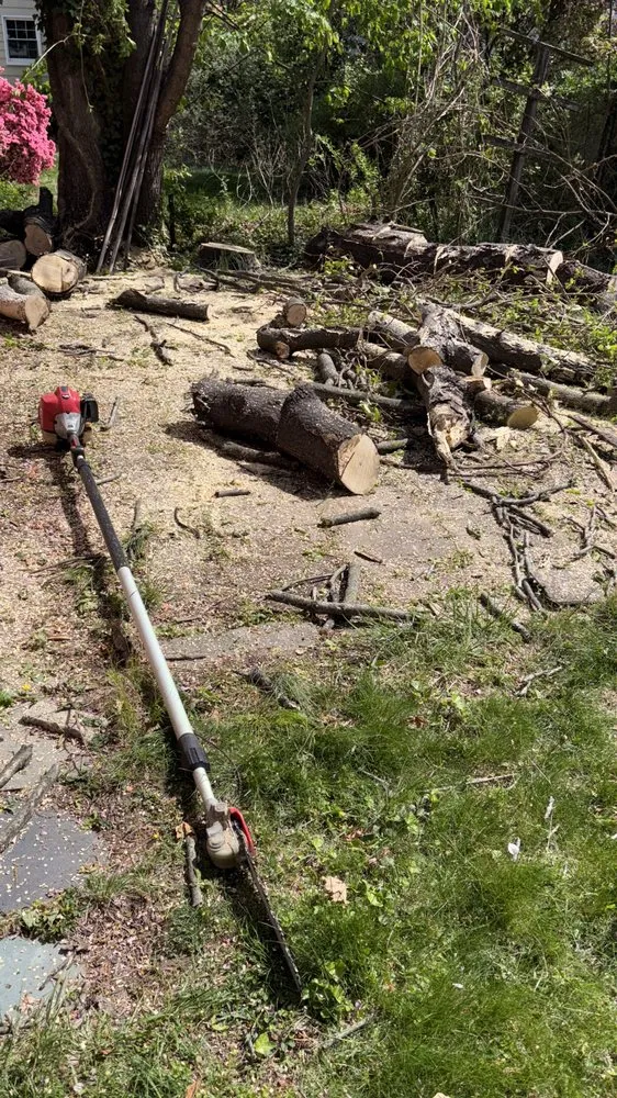 Reliable yard maintenance in IND HILLSIDE, NJ by C&A Penafiel