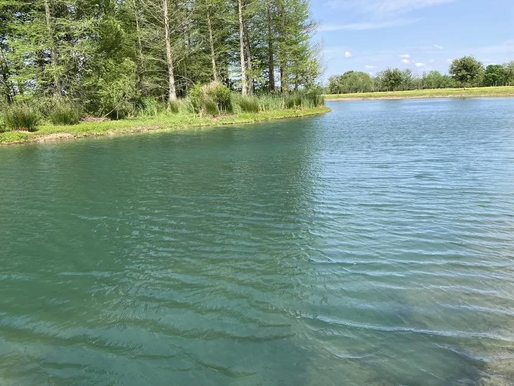 Custom outdoor landscaping for residential properties across Opelousas, LA - C&A Pest and Lawn