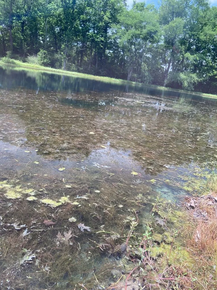 Professional landscape installation in Opelousas, LA - C&A Pest and Lawn