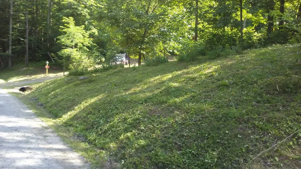 Professional landscape design with custom design in Reva, VA by C&A Services