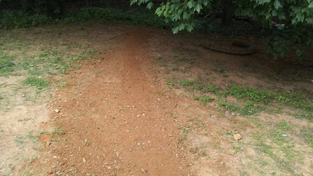 Trusted landscaping services for residential properties across Reva, VA - C&A Services