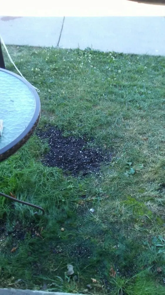 Professional lawn mowing service for beautiful yards across Reva, VA - C&A Services