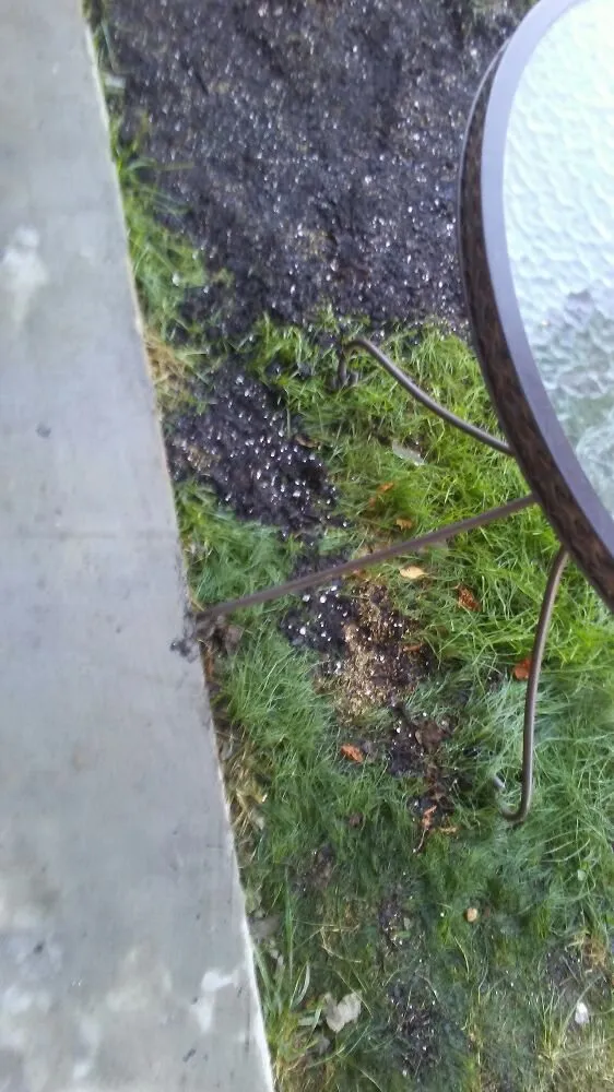 Top-rated landscape installation for year-round maintenance across Reva, VA - C&A Services