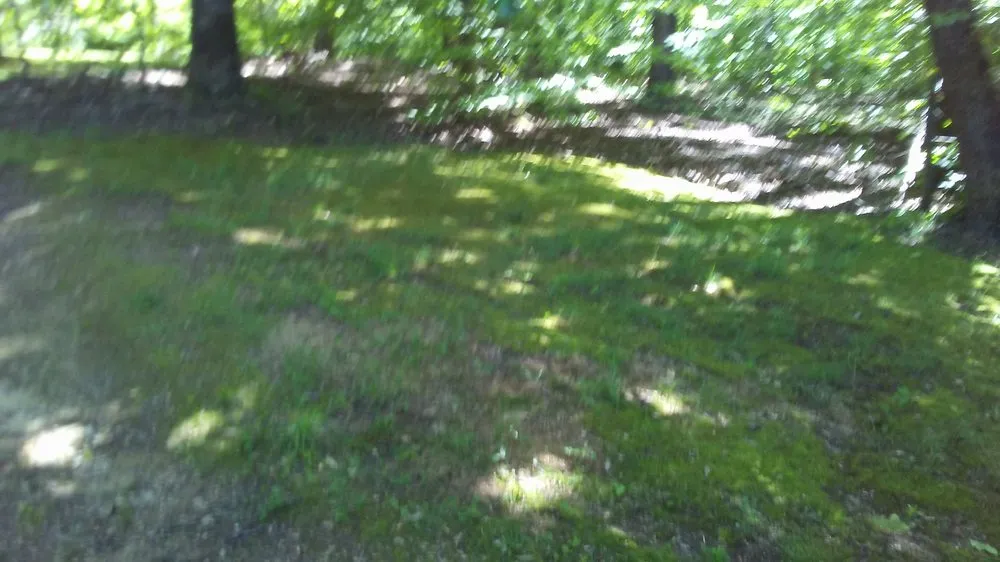 Top-rated residential landscaping for year-round maintenance across Reva, VA - C&A Services