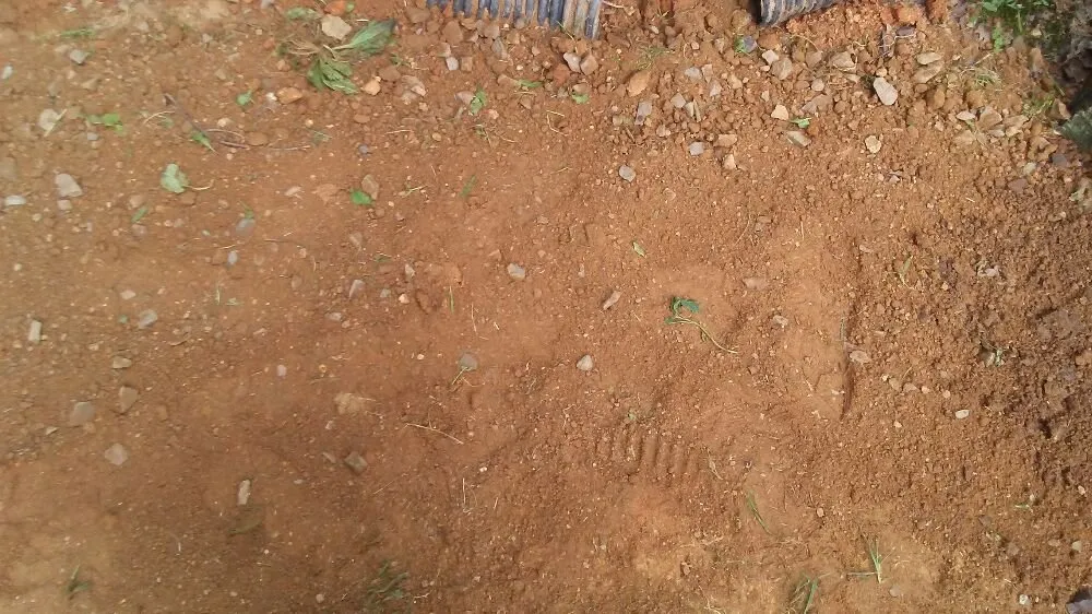 Affordable yard cleanup service for beautiful yards across Reva, VA - C&A Services