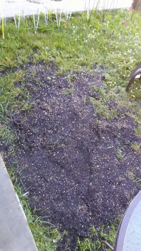 Trusted garden landscaping in Reva, VA by C&A Services