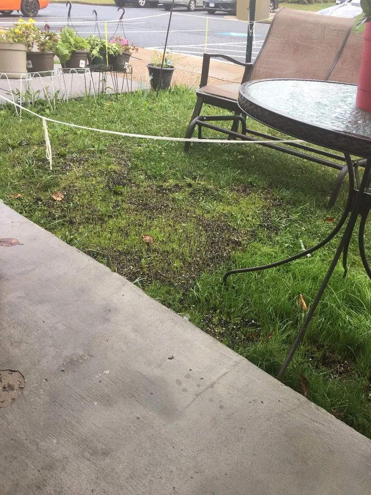 Local landscaping services with custom design in Reva, VA by C&A Services