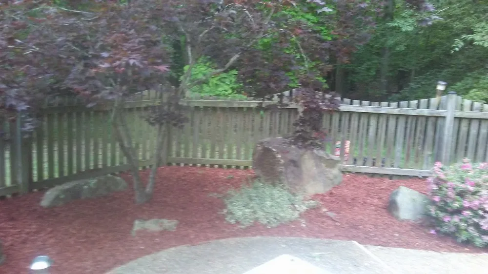 Reliable lawn care service in Reva, VA - C&A Services