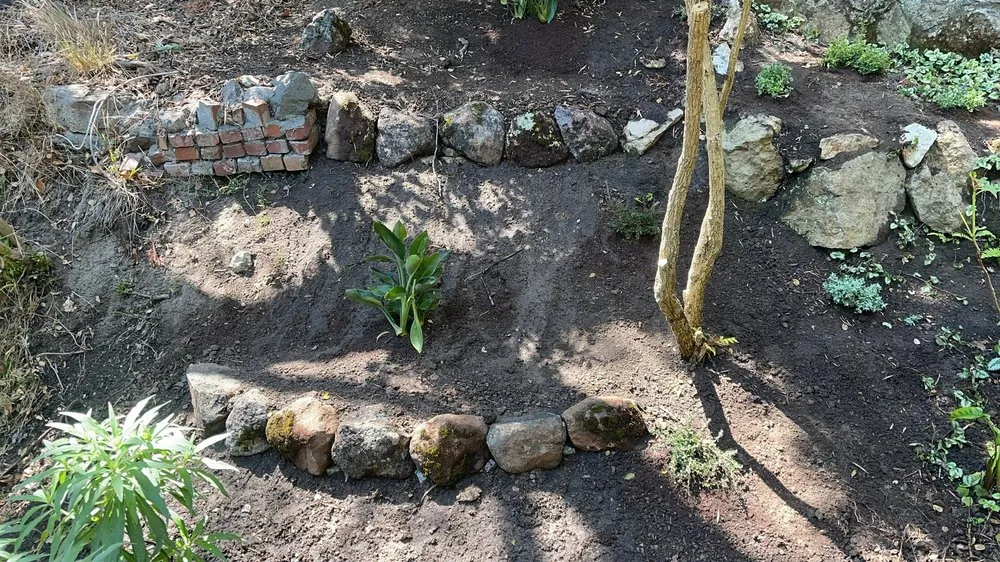 Trusted yard maintenance for outdoor upgrades in Richmond, CA by CA Top Landscaping & Construction