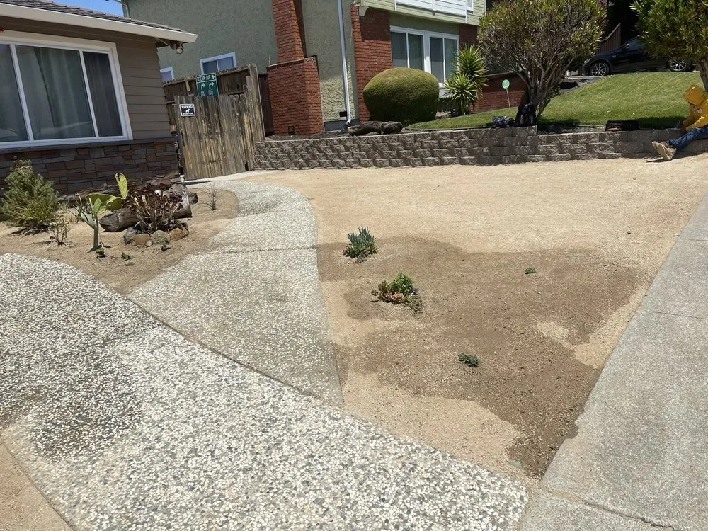 Trusted landscaping services in Richmond, CA by CA Top Landscaping & Construction