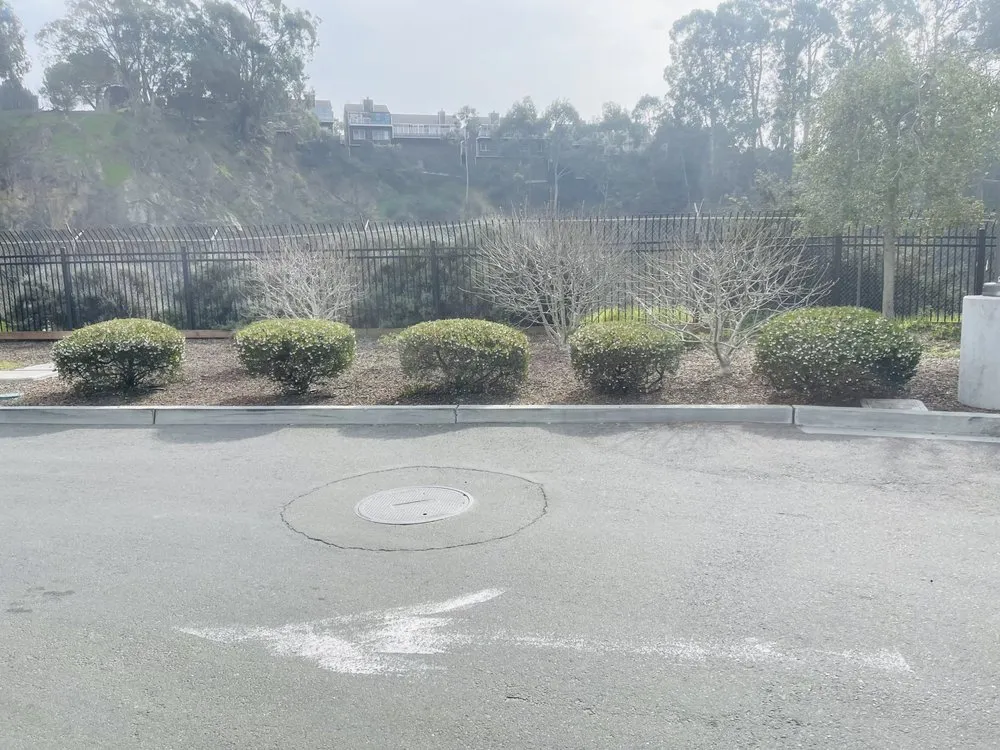 Top-rated outdoor landscaping for homes across Richmond, CA - CA Top Landscaping & Construction