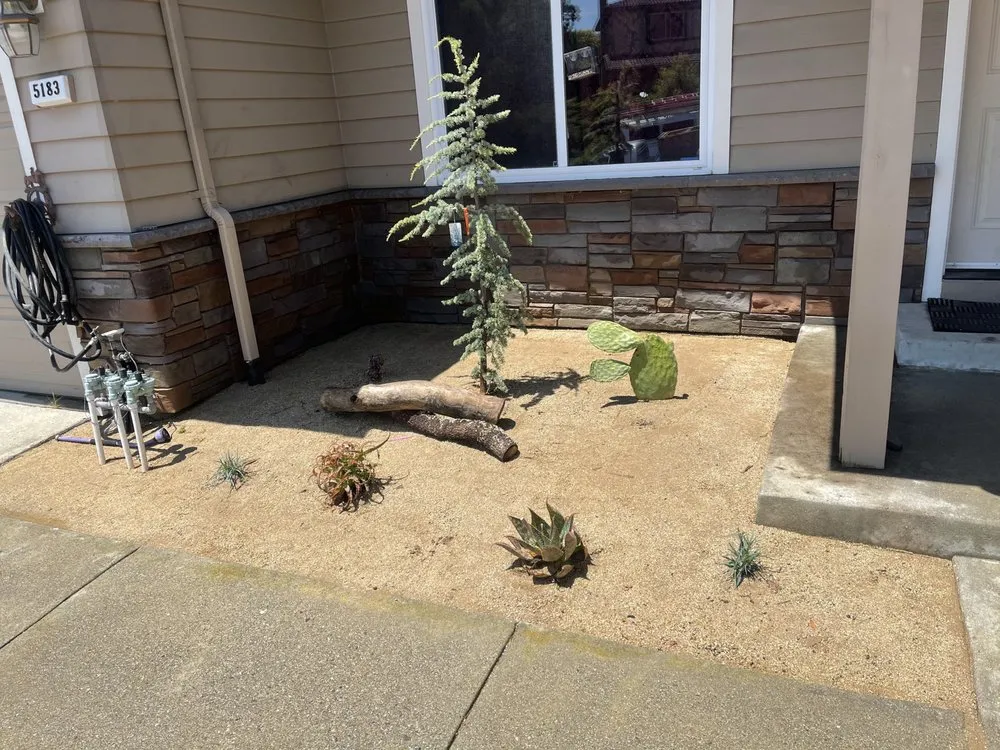 Local landscaping services for beautiful yards in Richmond, CA by CA Top Landscaping & Construction
