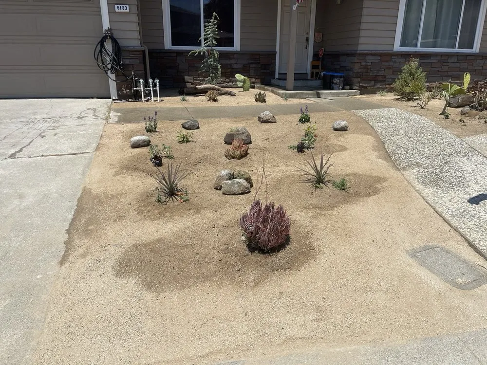 Top-rated lawn mowing service for residential properties across Richmond, CA - CA Top Landscaping & Construction