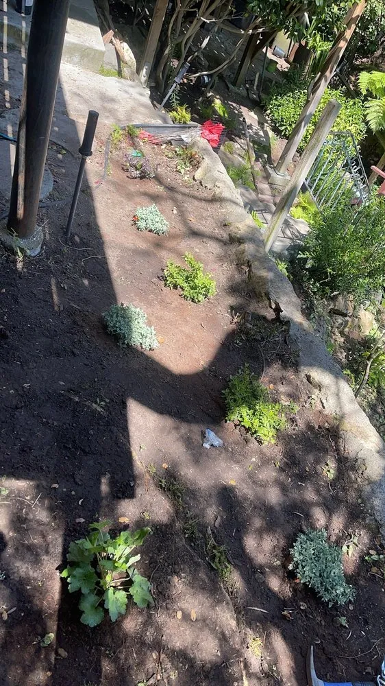 Expert outdoor landscaping experts serving Richmond, CA - CA Top Landscaping & Construction