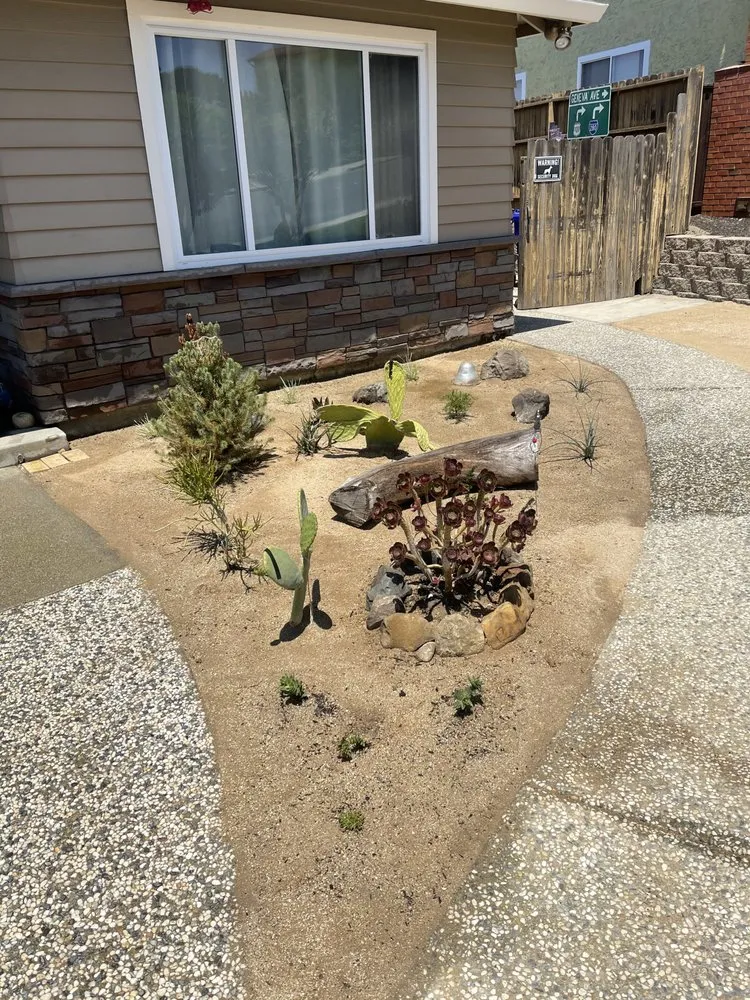 Custom yard maintenance in Richmond, CA by CA Top Landscaping & Construction
