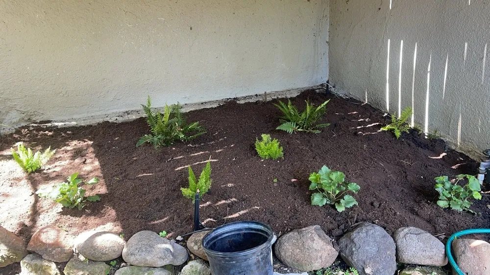 Local landscape design experts serving Richmond, CA - CA Top Landscaping & Construction