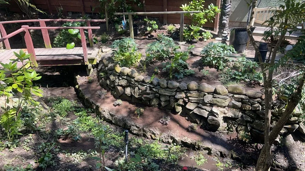 Professional landscape design in Richmond, CA - CA Top Landscaping & Construction