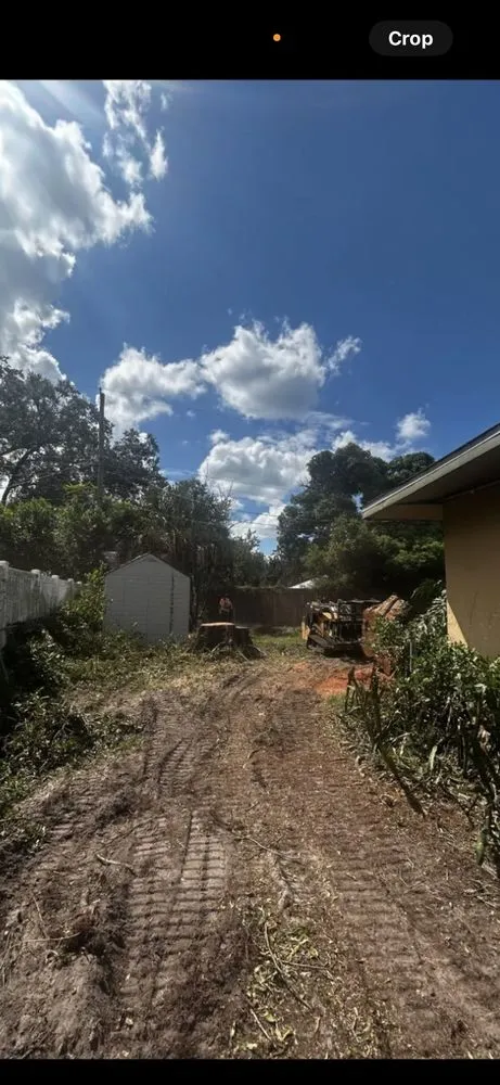 Professional outdoor landscaping with custom design in Tampa, FL by CA Tree’s