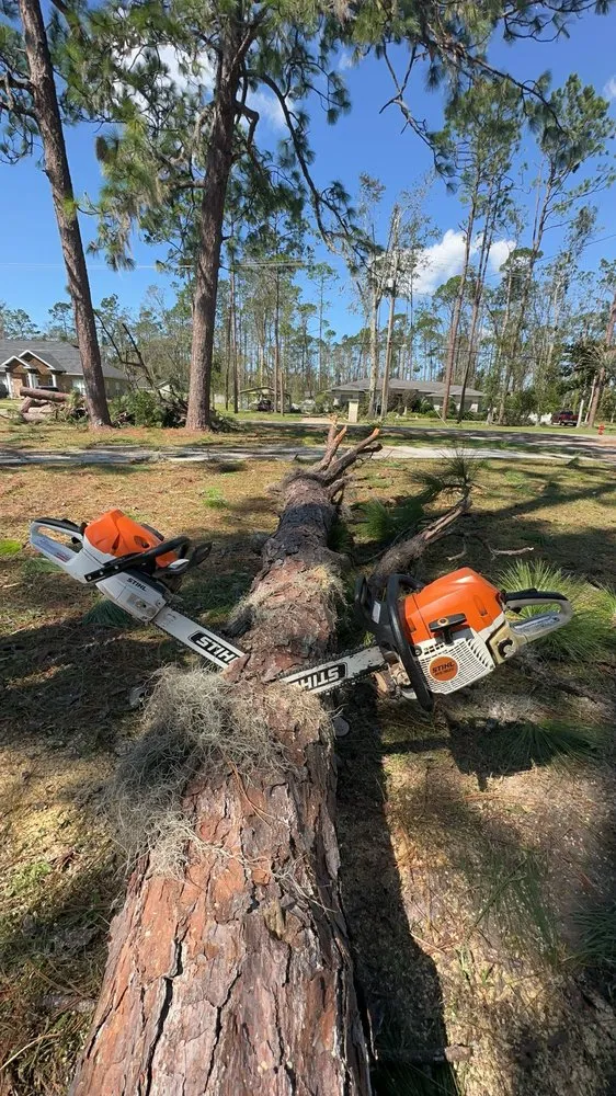 Affordable garden landscaping for outdoor upgrades across Tampa, FL - CA Tree’s