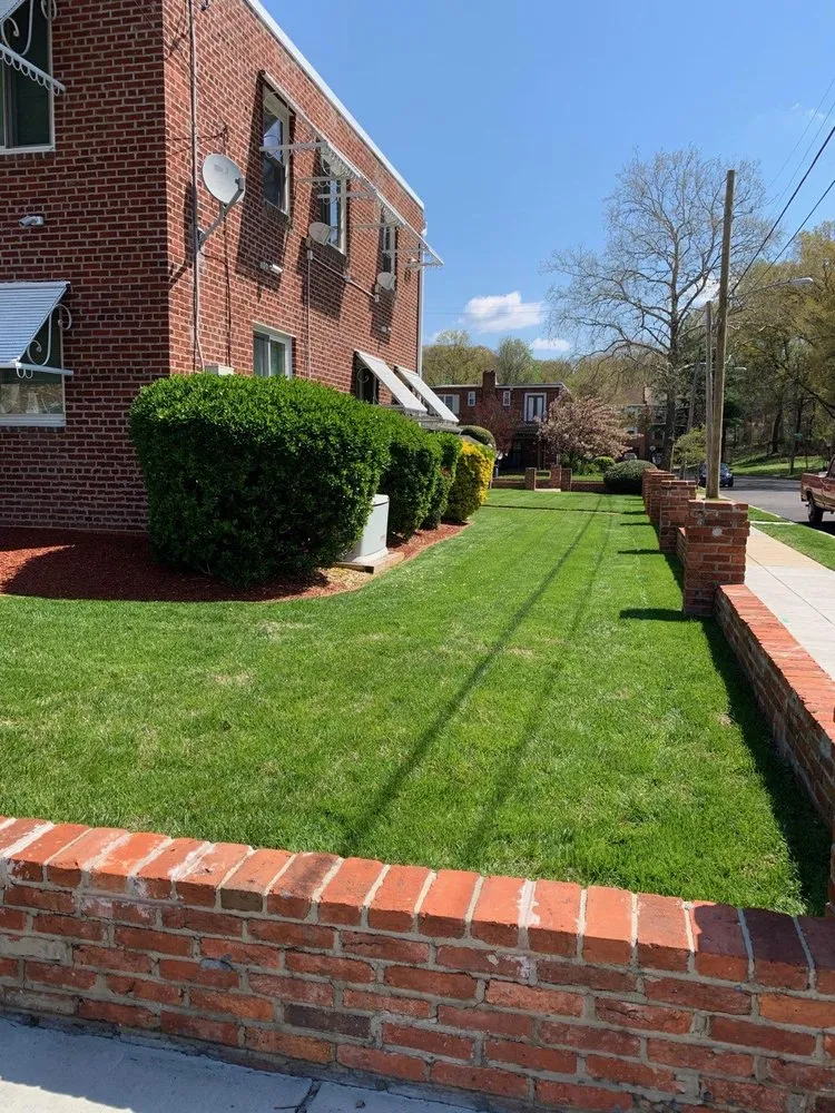 Affordable lawn care service for year-round maintenance across University PA, MD - Caal Services