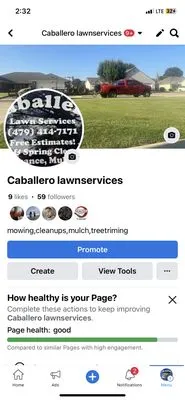 Caballero Lawn Service Logo