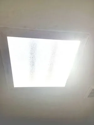 Caballero Yard and Home Logo