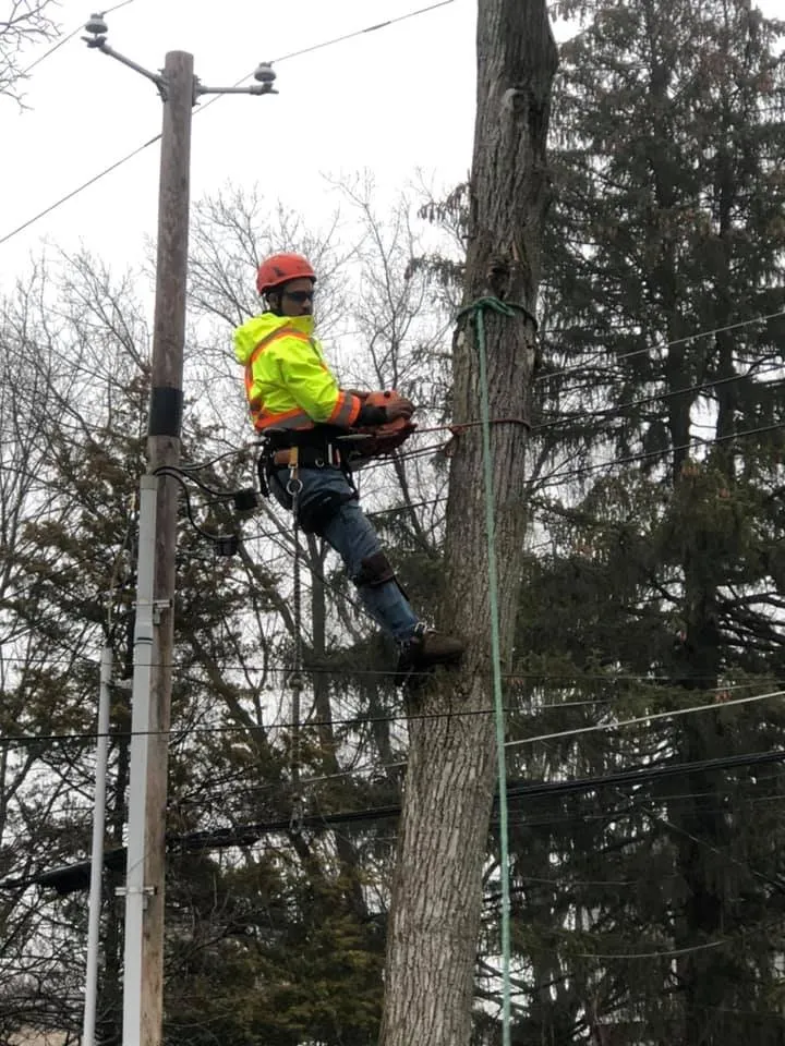 Affordable outdoor landscaping experts serving Indianapolis, IN - Caballeros Landscaping