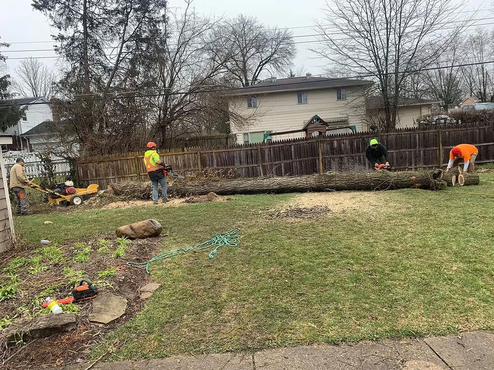 Local yard maintenance in Indianapolis, IN by Caballeros Landscaping