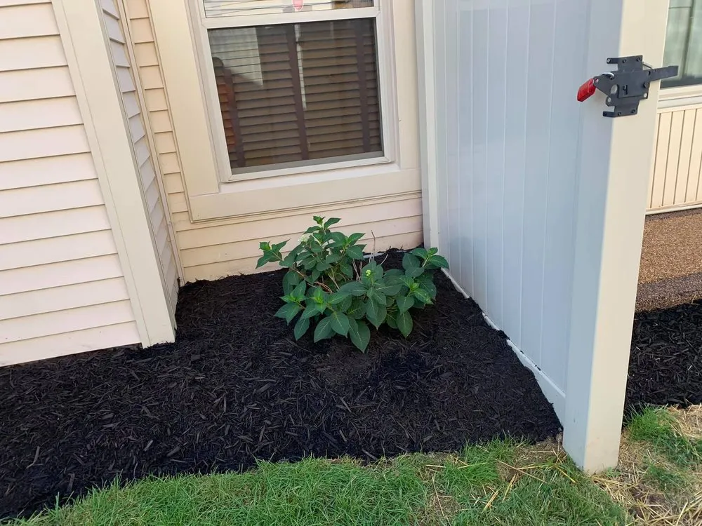 Professional outdoor landscaping experts serving Indianapolis, IN - Caballeros Landscaping