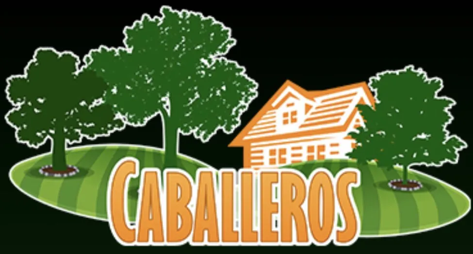 Professional yard cleanup service in Indianapolis, IN - Caballeros Landscaping