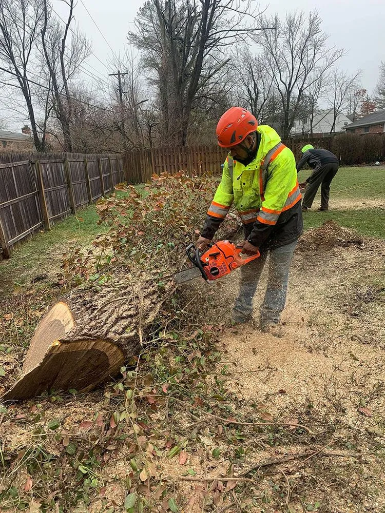 Custom yard cleanup service for beautiful yards across Indianapolis, IN - Caballeros Landscaping