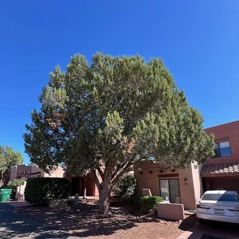 Local yard maintenance experts serving Camp Verde, AZ - Caballero's Remodeling and Landscaping