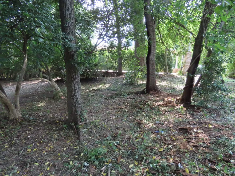 Reliable yard cleanup service for beautiful yards across Vienna, VA - Caballeros Tree Service and Landscaping