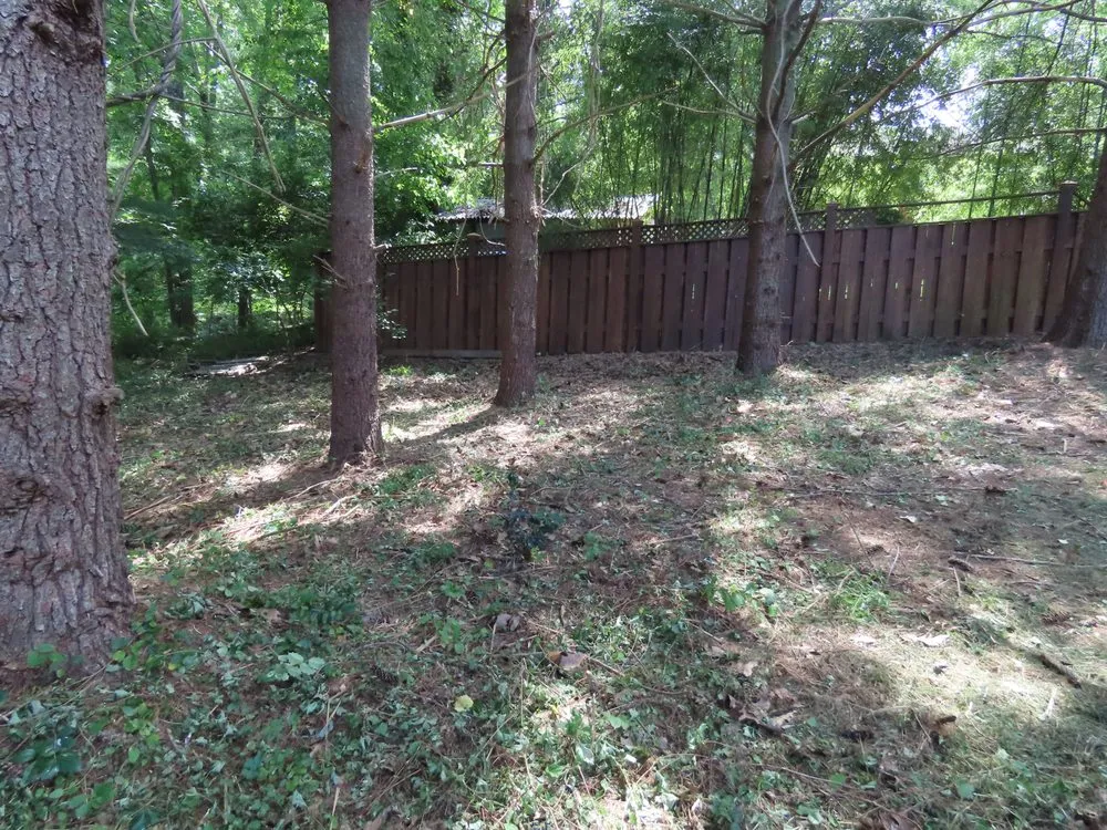 Professional outdoor landscaping experts serving Vienna, VA - Caballeros Tree Service and Landscaping