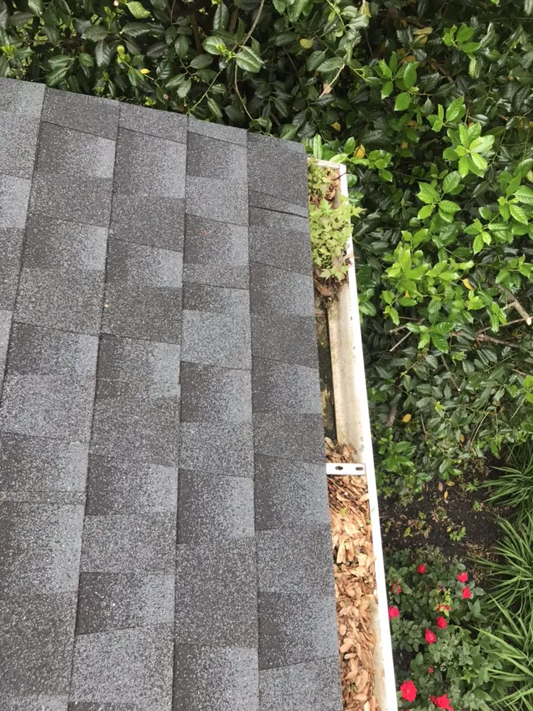 Professional landscape installation for year-round maintenance across Vienna, VA - Caballeros Tree Service and Landscaping