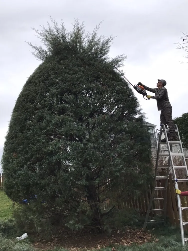 Reliable garden landscaping in Vienna, VA by Caballeros Tree Service and Landscaping