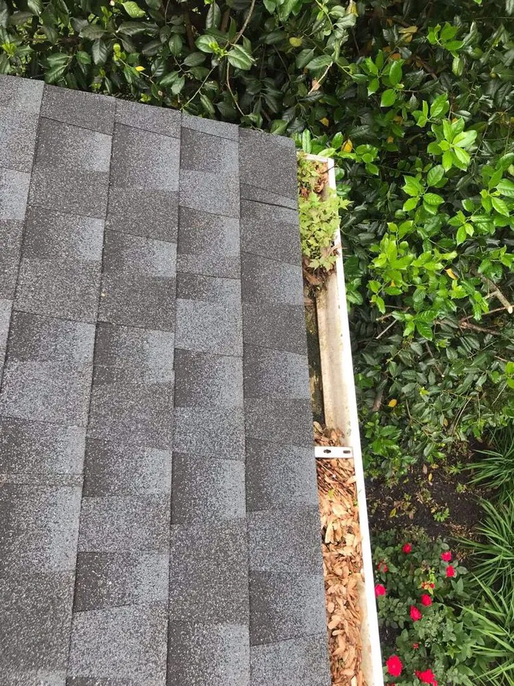 Affordable garden landscaping experts serving Vienna, VA - Caballeros Tree Service and Landscaping