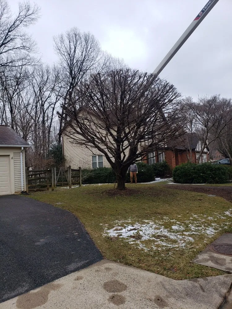 Local landscape design for outdoor upgrades in Vienna, VA by Caballeros Tree Service and Landscaping