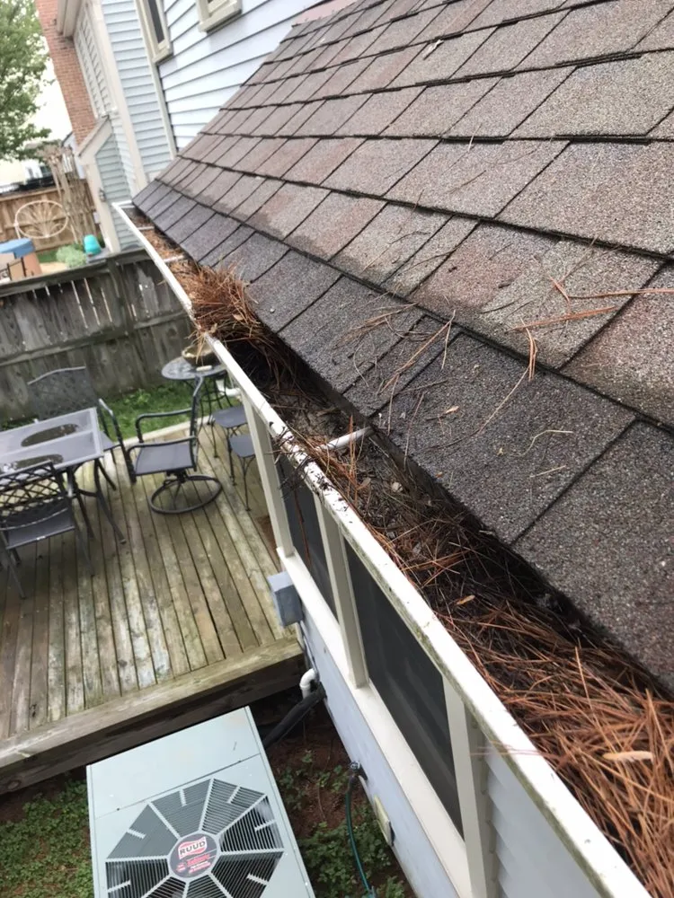 Expert landscaping services experts serving Vienna, VA - Caballeros Tree Service and Landscaping