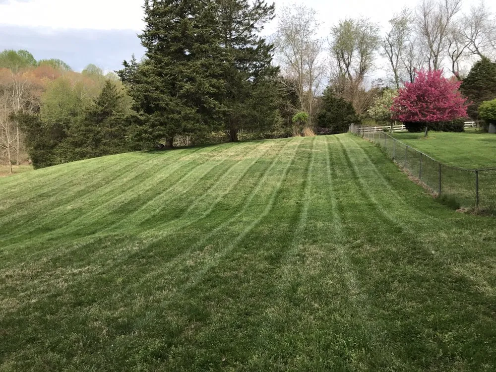 Custom yard maintenance for residential properties in Vienna, VA by Caballeros Tree Service and Landscaping