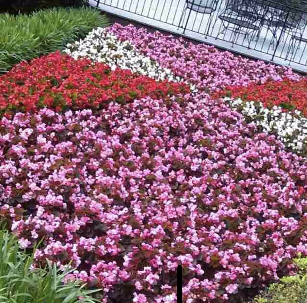 Custom garden landscaping in Vienna, VA - Caballeros Tree Service and Landscaping