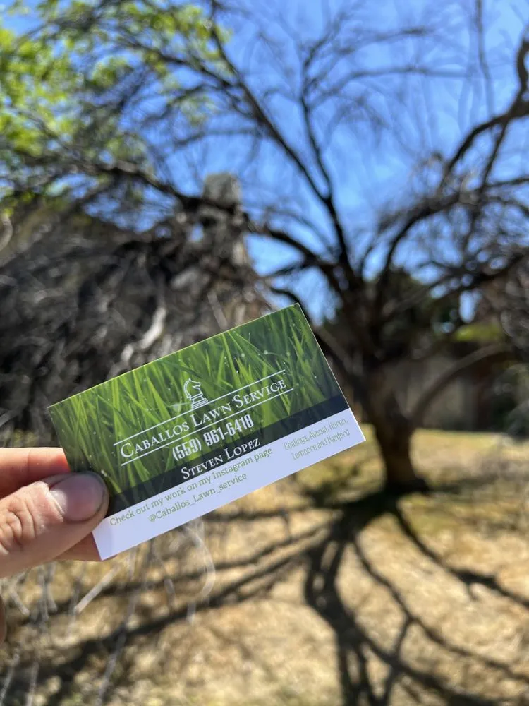 Top-rated landscape design near you in Coalinga, CA by Caballos Lawn Service