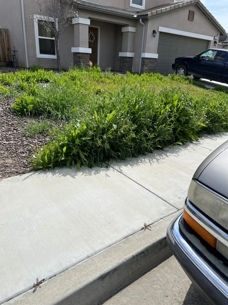 Trusted yard maintenance in Coalinga, CA by Caballos Lawn Service