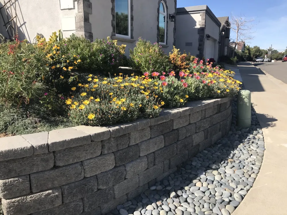 Professional lawn mowing service in San Diego, CA by Cabanas Landscape