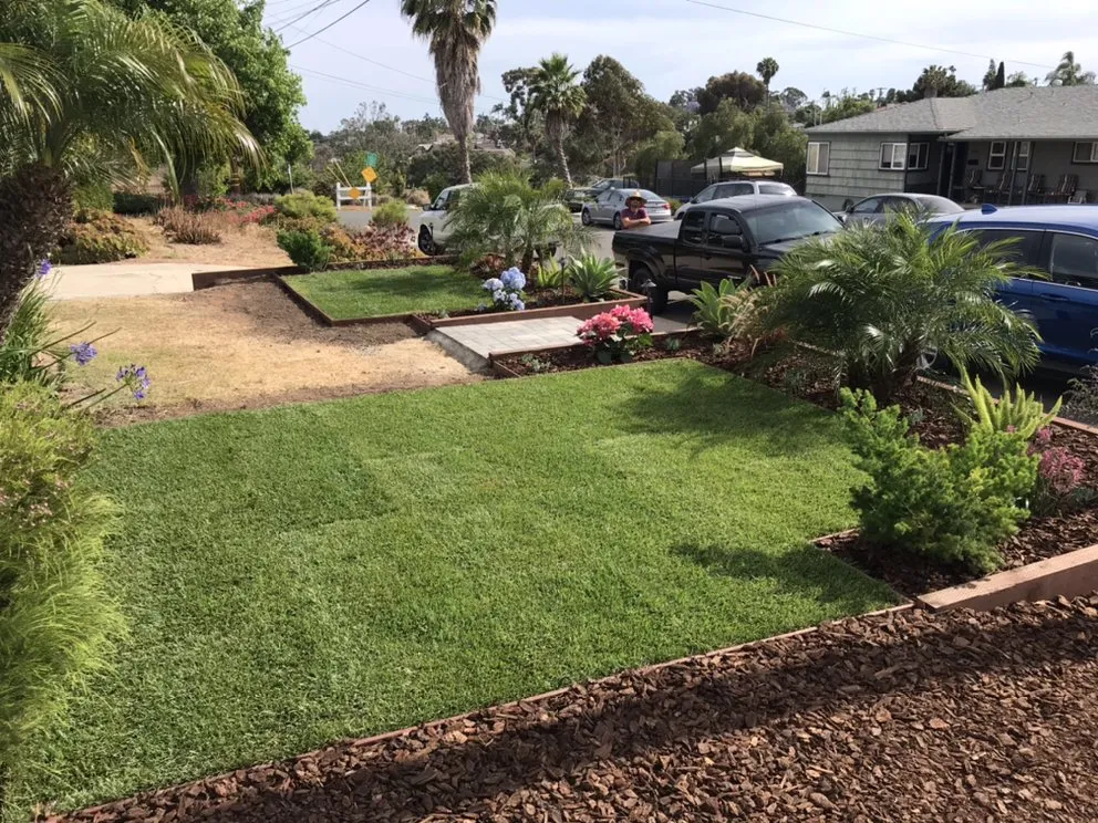Expert yard cleanup service for residential properties across San Diego, CA - Cabanas Landscape