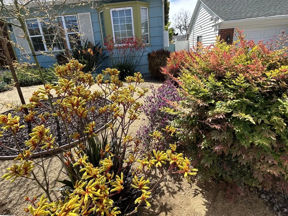 Professional landscaping services for year-round maintenance in San Diego, CA by Cabanas Landscape