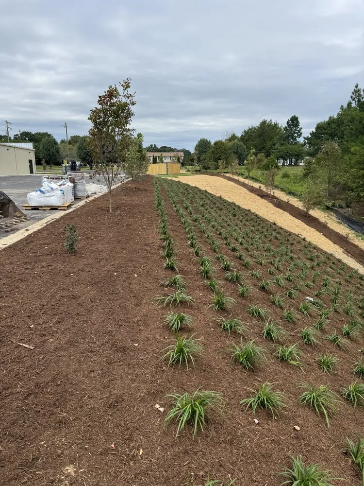 Top-rated yard cleanup service in Charlotte, NC by Cabanas Landscaping