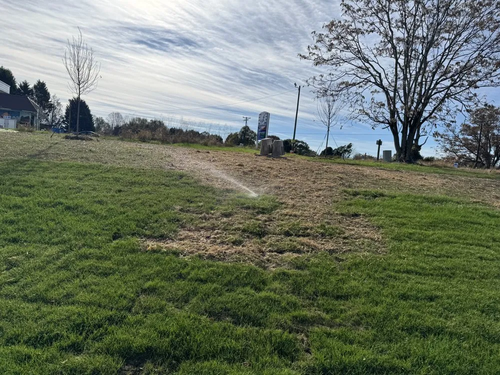 Custom yard cleanup service experts serving Charlotte, NC - Cabanas Landscaping