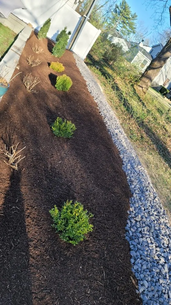 Professional landscaping services with custom design in Olivette, MO by Cabanas Lawn Care
